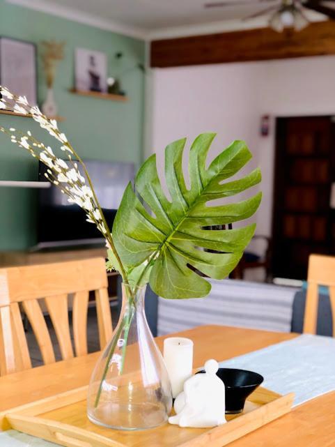 Danville Forest Guest House & Apartments Durban Ngoại thất bức ảnh