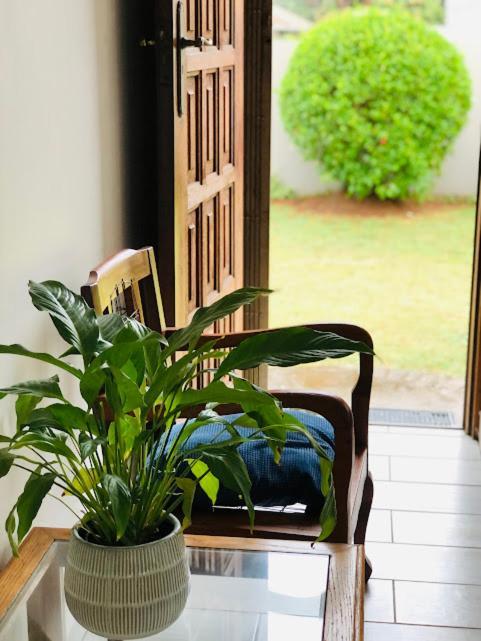 Danville Forest Guest House & Apartments Durban Ngoại thất bức ảnh
